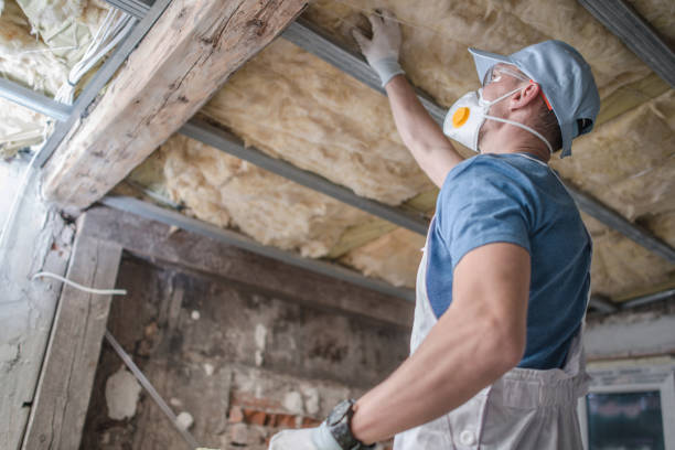 Best Types of Insulation in Pilot Mountain, NC