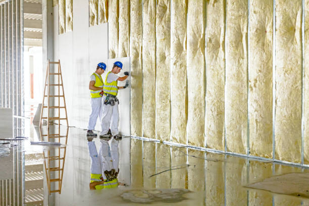 Best Insulation Installation Services in Pilot Mountain, NC
